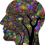 colorful brain illustration
