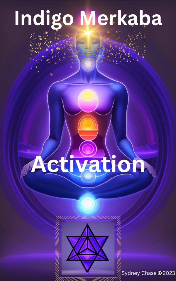 Activate Your Merkaba E-book cover, purple, indigo with 7 chakras sitting atop a merkaba